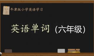 小学六年级单词各种形式